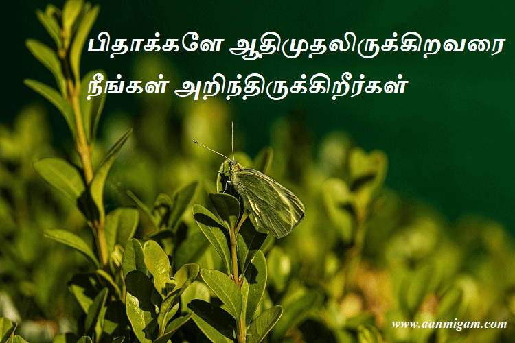 பிதாக்களே ஆதிமுதலிருக்கிறவரை நீங்கள் அறிந்திருக்கிறீர்கள்.