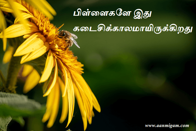பிள்ளைகளே இது கடைசிக்காலமாயிருக்கிறது