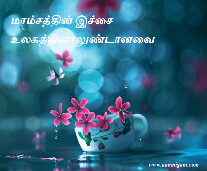 மாம்சத்தின் இச்சை உலகத்தினாலுண்டானவை.