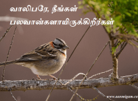வாலிபரே, நீங்கள் பலவான்களாயிருக்கிறீர்கள்.