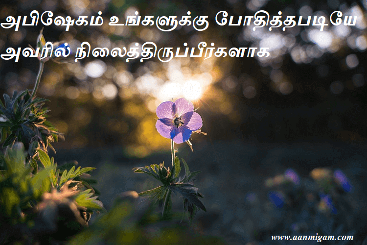 அபிஷேகம் உங்களுக்கு போதித்தபடியே அவரில் நிலைத்திருப்பீர்களாக.