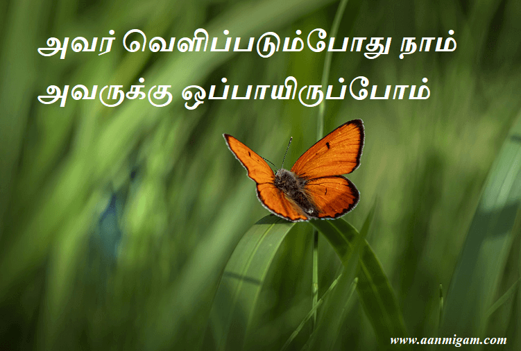 அவர் வெளிப்படும்போது நாம் அவருக்கு ஒப்பாயிருப்போம்