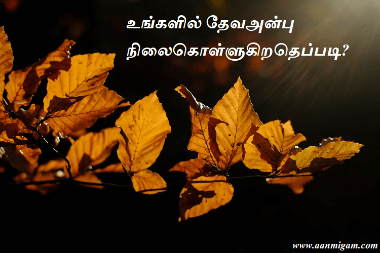 உங்களில் தேவஅன்பு நிலைகொள்ளுகிறதெப்படி?