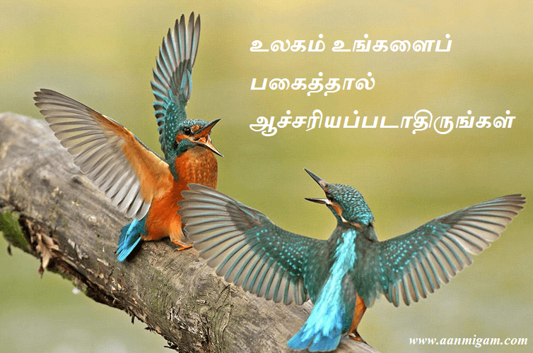 உலகம் உங்களைப் பகைத்தால் ஆச்சரியப்படாதிருங்கள்