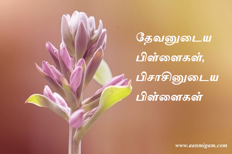 தேவனுடைய பிள்ளைகள், பிசாசினுடைய பிள்ளைகள்