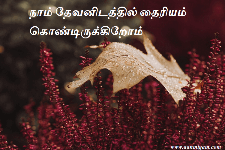 நாம் தேவனிடத்தில் தைரியம் கொண்டிருக்கிறோம்.நாம் தேவனிடத்தில் தைரியம் கொண்டிருக்கிறோம்.நாம் தேவனிடத்தில் தைரியம் கொண்டிருக்கிறோம்.