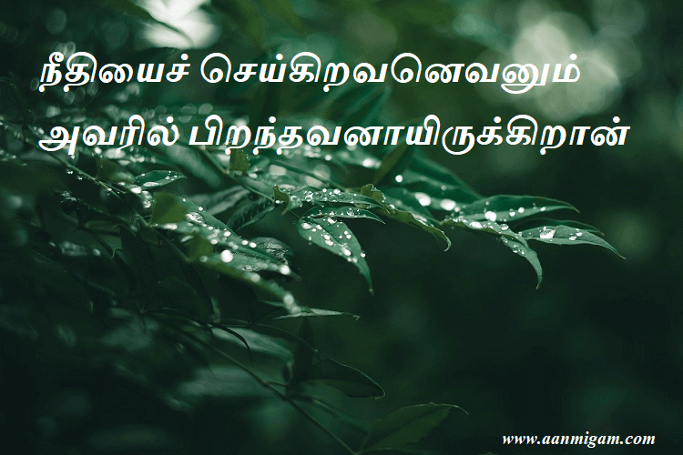 நீதியைச் செய்கிறவனெவனும் அவரில் பிறந்தவனாயிருக்கிறான்