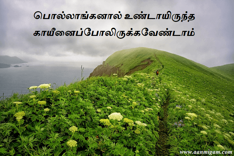 பொல்லாங்கனால் உண்டாயிருந்த காயீனைப்போலிருக்கவேண்டாம்பொல்லாங்கனால் உண்டாயிருந்த காயீனைப்போலிருக்கவேண்டாம்