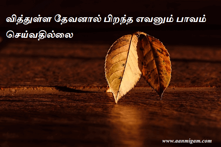 வித்துள்ள தேவனால் பிறந்த எவனும் பாவம் செய்வதில்லை.