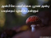 அன்பிலே பயமில்லை. பூரண அன்பு பயத்தைப் புறம்பே தள்ளும்