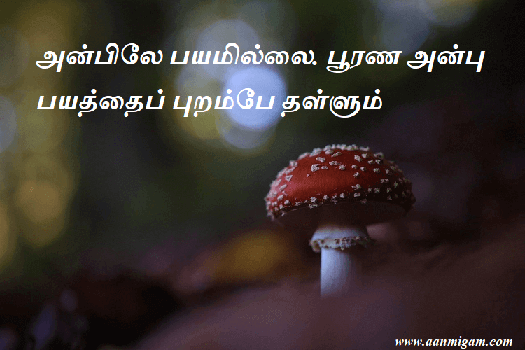 அன்பிலே பயமில்லை. பூரண அன்பு பயத்தைப் புறம்பே தள்ளும்