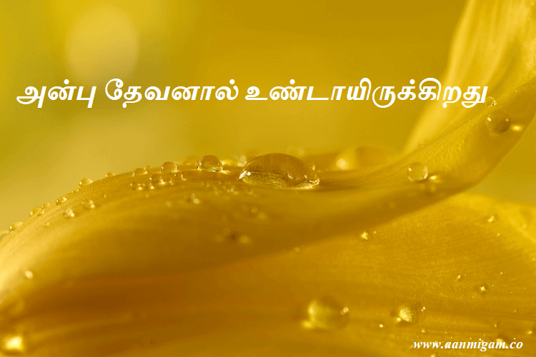 அன்பு தேவனால் உண்டாயிருக்கிறது.