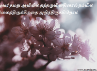 அவர் தமது ஆவியில் தந்தருளினதினால் நம்மில் நிலைத்திருக்கிறதை அறிந்திருக்கிறோம்
