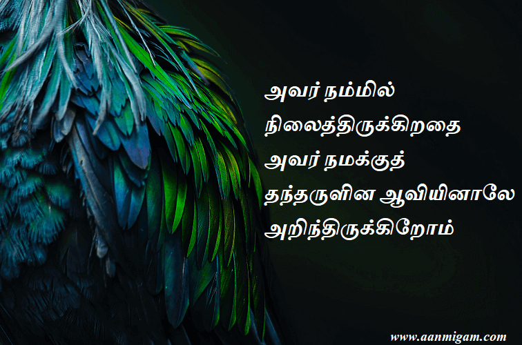 அவர் நம்மில் நிலைத்திருக்கிறதை அவர் நமக்குத் தந்தருளின ஆவியினாலே அறிந்திருக்கிறோம்