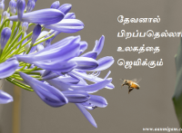 தேவனால் பிறப்பதெல்லாம் உலகத்தை ஜெயிக்கும்