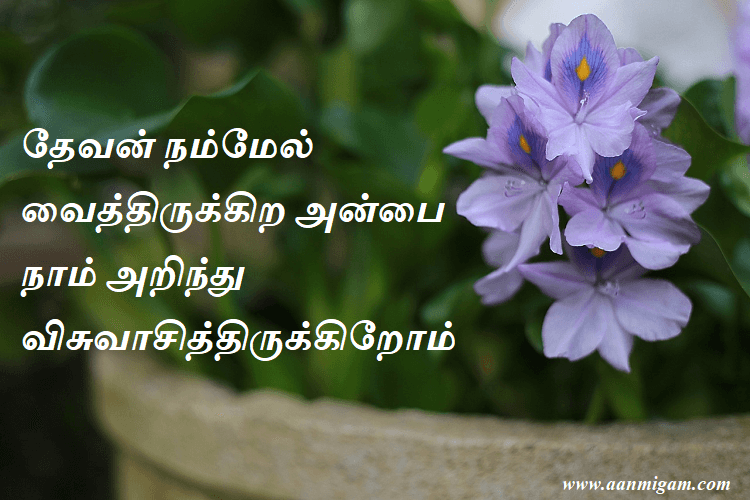தேவன் நம்மேல் வைத்திருக்கிற அன்பை நாம் அறிந்து விசுவாசித்திருக்கிறோம்