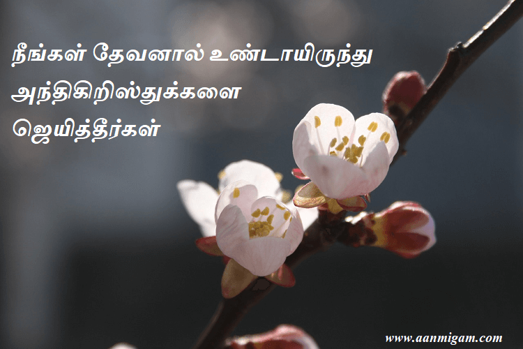 நீங்கள் தேவனால் உண்டாயிருந்து அந்திகிறிஸ்துக்களை ஜெயித்தீர்கள்.
