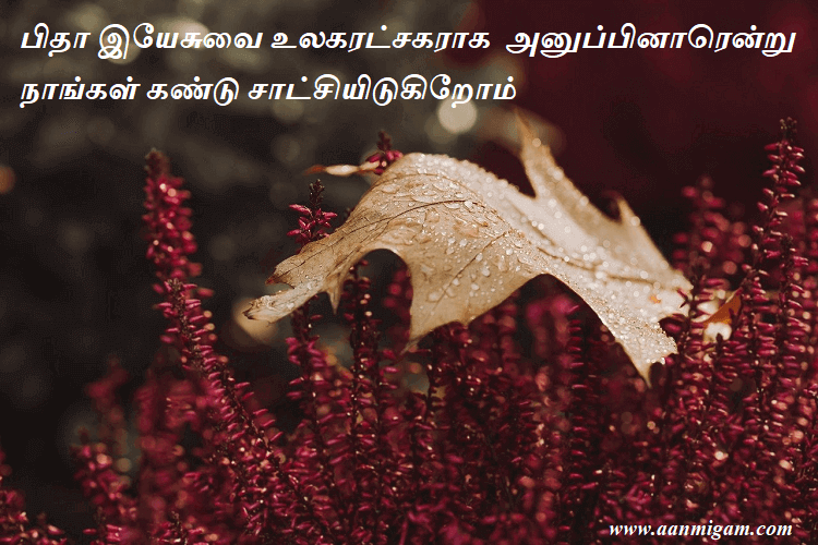 பிதா இயேசுவை உலகரட்சகராக அனுப்பினாரென்று நாங்கள் கண்டு சாட்சியிடுகிறோம்
