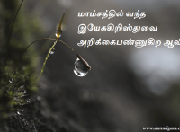 மாம்சத்தில் வந்த இயேசுகிறிஸ்துவை அறிக்கைபண்ணுகிற ஆவி