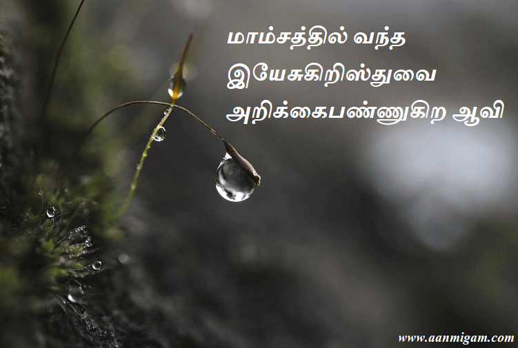 மாம்சத்தில் வந்த இயேசுகிறிஸ்துவை அறிக்கைபண்ணுகிற ஆவி