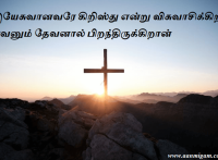 இயேசுவானவரே கிறிஸ்து என்று விசுவாசிக்கிற எவனும் தேவனால் பிறந்திருக்கிறான்.