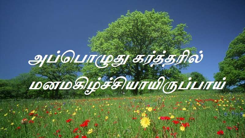 அப்பொழுது கர்த்தரில் மனமகிழ்ச்சியாயிருப்பாய்