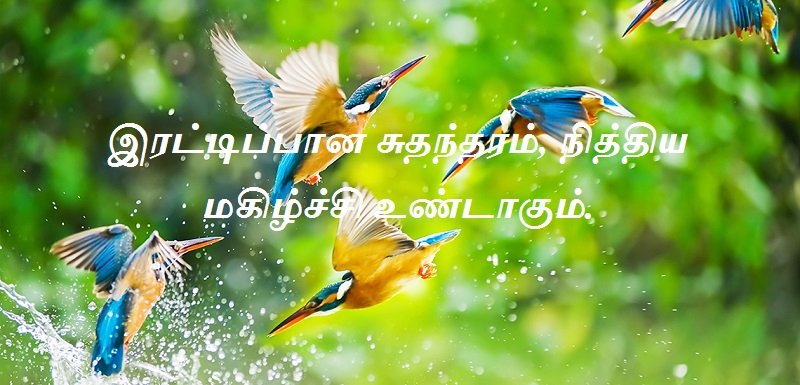 இரட்டிப்பான சுதந்தரம், நித்திய மகிழ்ச்சி உண்டாகும்.