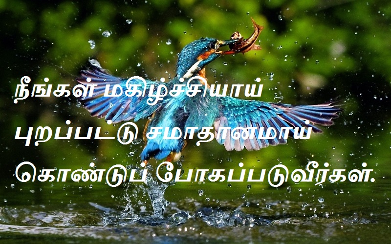 நீங்கள் மகிழ்ச்சியாய் புறப்பட்டு சமாதானமாய் கொண்டுப் போகப்படுவீர்கள்.