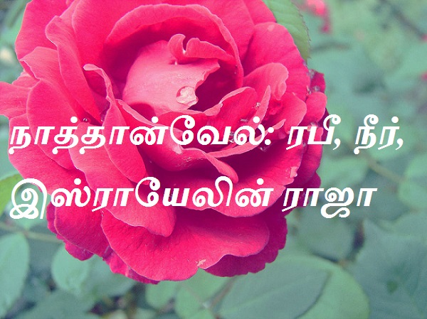 நாத்தான்வேல்: ரபீ, நீர், இஸ்ராயேலின் ராஜா