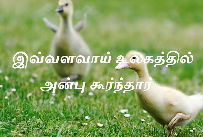 உலகத்தில்