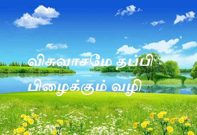விசுவாசமே