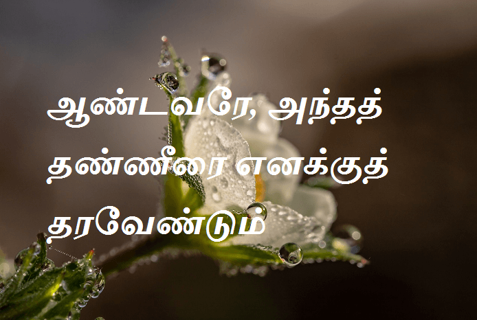 தரவேண்டும்