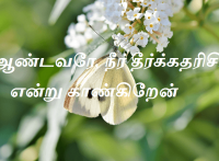 தீர்க்கதரிசி