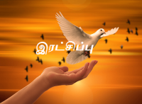 காத்திருப்பது