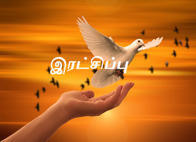 காத்திருப்பது