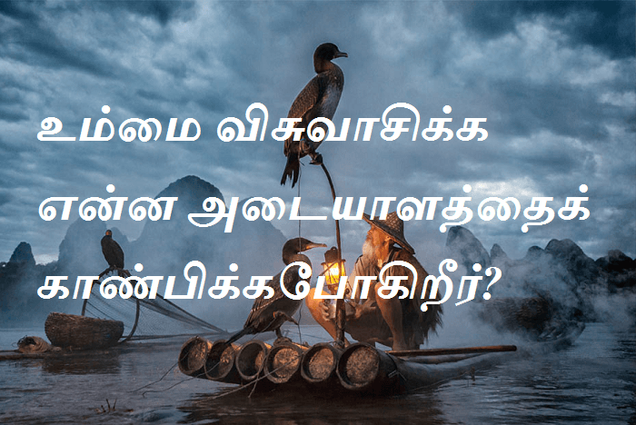 உம்மை