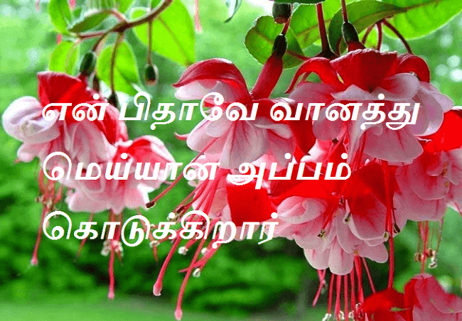 என் பிதாவே வானத்து மெய்யான அப்பம் கொடுக்கிறார்