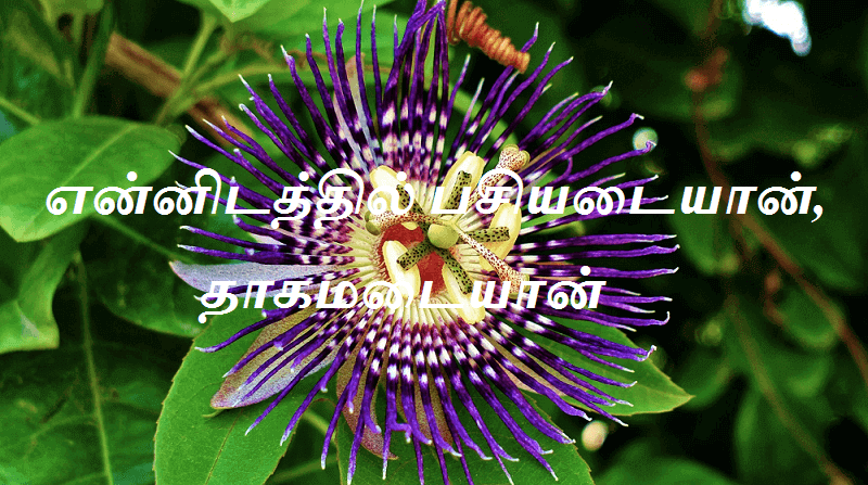 பசியடையான்