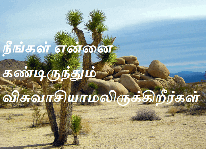 விசுவாசியாமலிருக்கிறீர்கள்