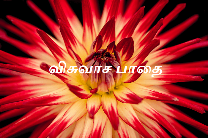 விசுவாச பாதை