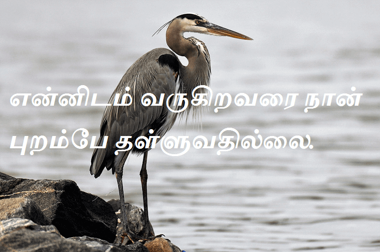 தள்ளுவதில்லை