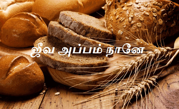 ஜீவ அப்பம் நானே