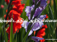 அவனிடத்தில் அநீதியில்லை