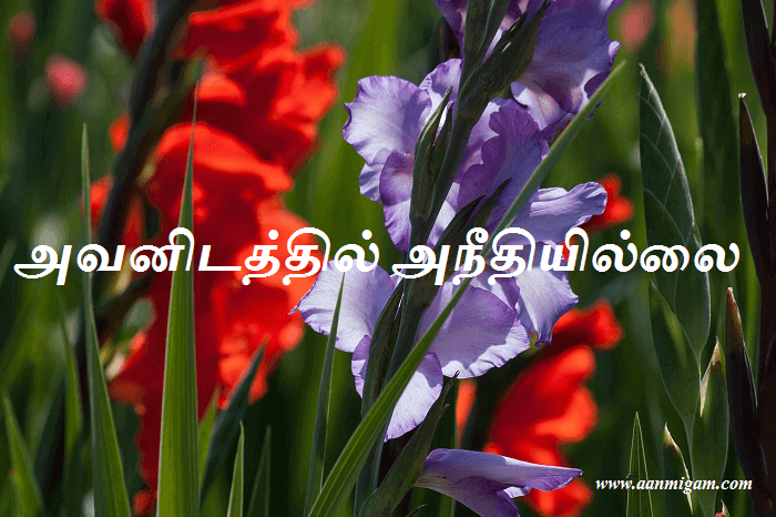 அவனிடத்தில் அநீதியில்லை