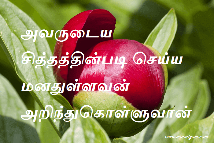 சித்தத்தின்படி