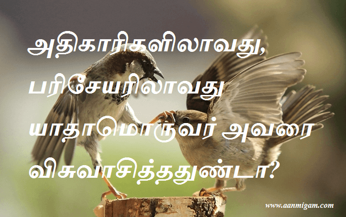 விசுவாசித்ததுண்டா