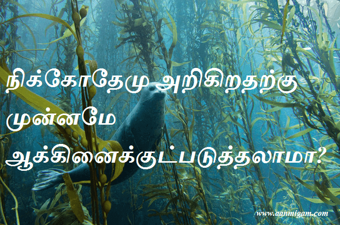 நிக்கோதேமு அறிகிறதற்கு முன்னமே ஆக்கினைக்குட்படுத்தலாமா