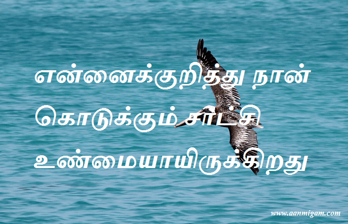 என்னைக்குறித்து நான் கொடுக்கும் சாட்சி உண்மையாயிருக்கிறது
