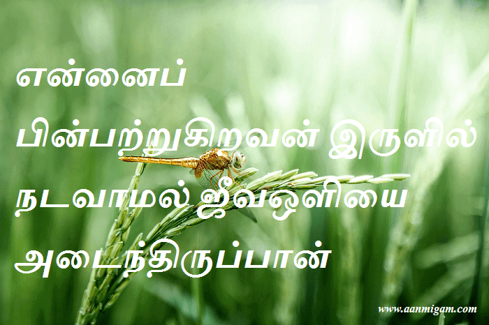ஜீவஒளியை