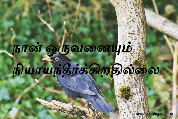 நான் ஒருவனையும் நியாயந்தீர்க்கிறதில்லை